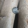 rings Image 3