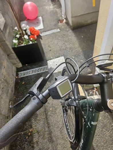 raleigh electric bike