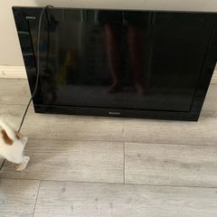 Free Sony TV
