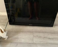sony TV with wall mount