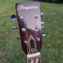 Angelica Vintage Acoustic Guitar Image 4