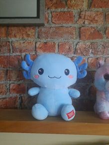 kawaii cuties axolotl