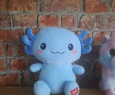 kawaii cuties axolotl