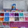Frozen Designer Loom Band Case Image 2