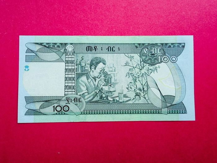 Ethiopia  100 Birr  2000-2008  52b ( Uncirculated )