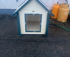 dog box