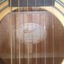 Guitar never used.  Cort make Image 4