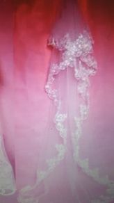 Long Cathedral Length Veil