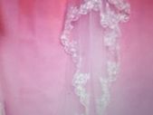 Long Cathedral Length Veil