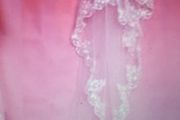 Long Cathedral Length Veil