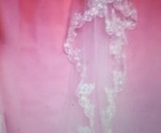 Long Cathedral Length Veil