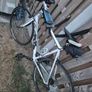 felt road bike Image 3