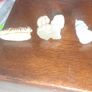 Solid Porcelain Miniature Figurines of Tiger, Poodle and a Seated Panda, possibly from Japan, in good condition, postage available or collection Image 4