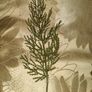 artificial plant Image 5