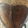 Darbuka Drum Image 2