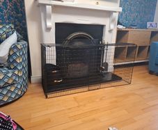 Fire Guard