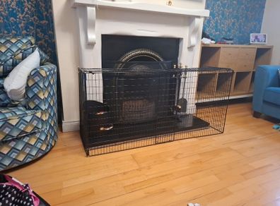 Fire Guard