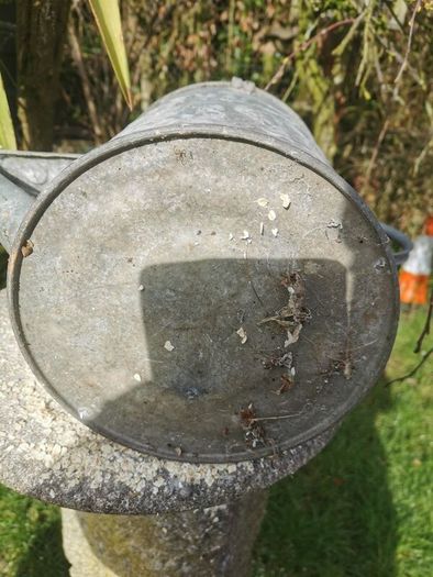 Old Galvanised Watering 2 gal. can
