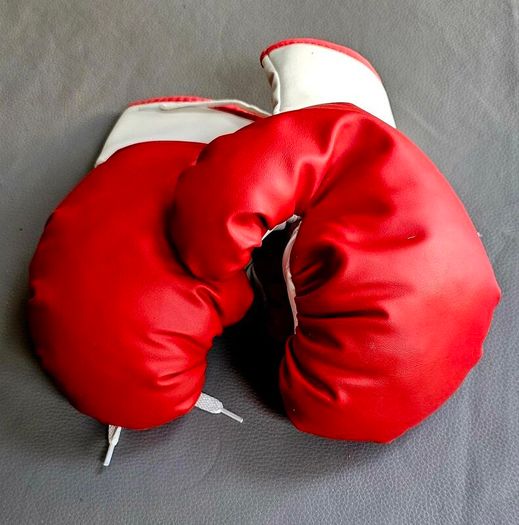 Boxing gloves