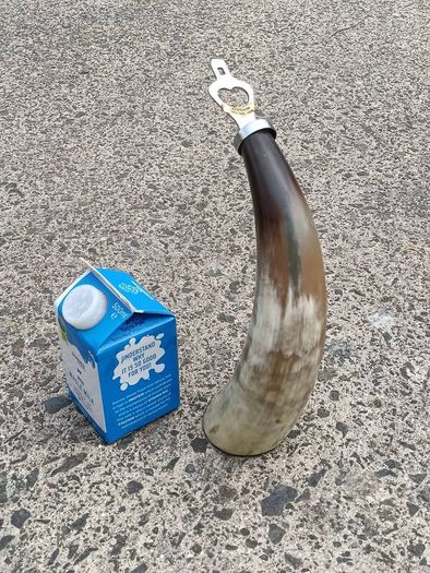 12 Inch Australian Bull Horn Bottle Opener