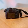 Nikon D3100 Image 2