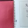 Paul Rubens 55 Pages Stamps Album World Collection Image 4