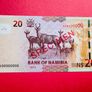 Namibia  20  Dollars  2015  SPECIMEN  Pick 12  ( Uncirculated ) Image 2