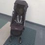 Infababy Travel Stroller Image 3