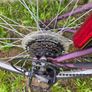 Girls bike Image 2