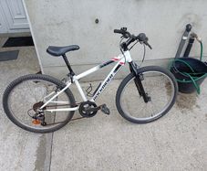 rock rider st 100 24 inches