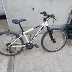 rock rider st 100 24 inches