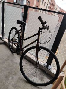 Bike. Medium frame.