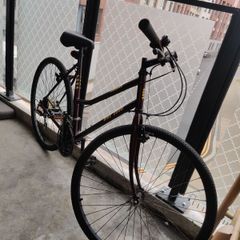 Bike. Medium frame.