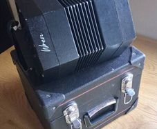 Concertina wren
