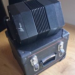 Concertina wren