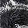 240x300cm, Grey Area Rugs for Bedroom, Washable Anti Slip Extra Large Shaggy Soft Rug Fluffy Modern Floor Carpets Mat Beside Carpet for Kids Living Room Image 5