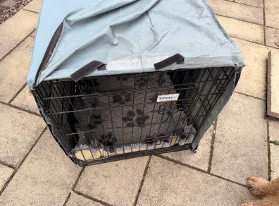 dog crate cage large with cover and matting