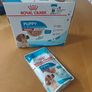 Puppy Items Image 5