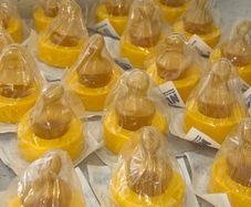 SMA latex anti-colic Hygienic Teats - 16 pack