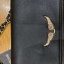 rock bag zadig & voltaire Image 6