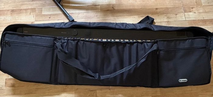 Casio px-s1100 digital piano (Black) + keyboard stand + storage bag