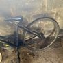 Klondike ladies bike Image 4