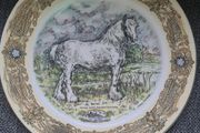 Decorative Plate