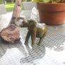 African wood carving and stone sculpture, no damage, D18 Image 3