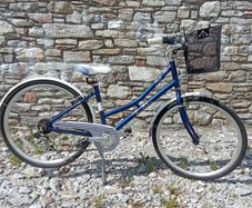 Pendleton Heath bike