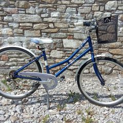 Pendleton Heath bike