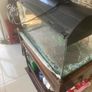 fish tank Image 2