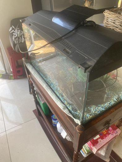 fish tank