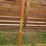 Garden umbrella Image 8