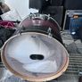 Pearl Decade Maple Image 9